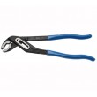 Cleste papagal 300mm