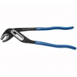 Cleste papagal 400mm